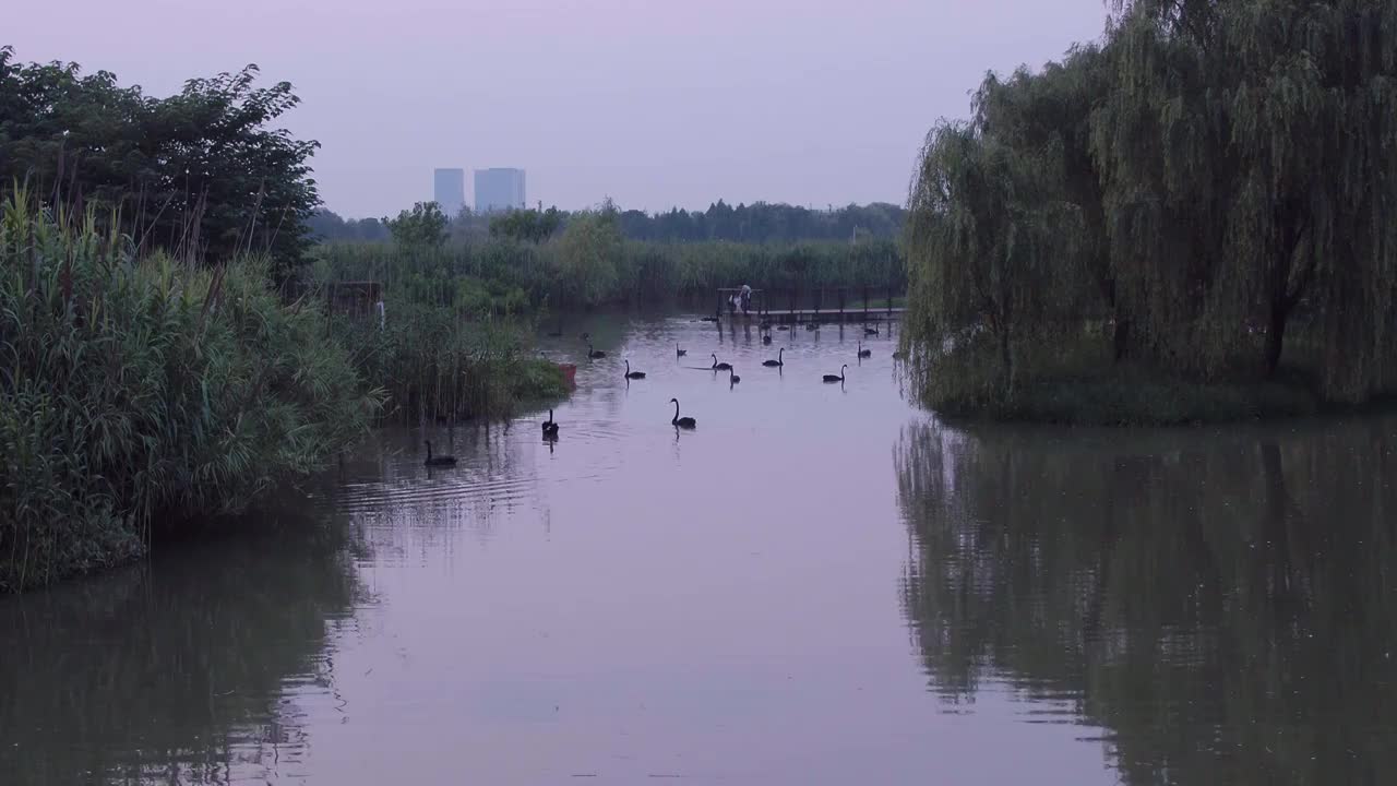 湖州西山漾黄昏视频下载