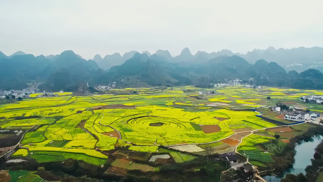 春季航拍贵州黔西南兴义万峰林与八卦田油菜花海视频素材