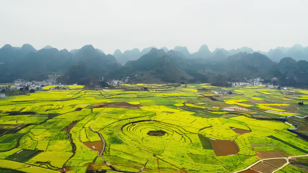 春季航拍贵州黔西南兴义万峰林与八卦田油菜花海视频素材