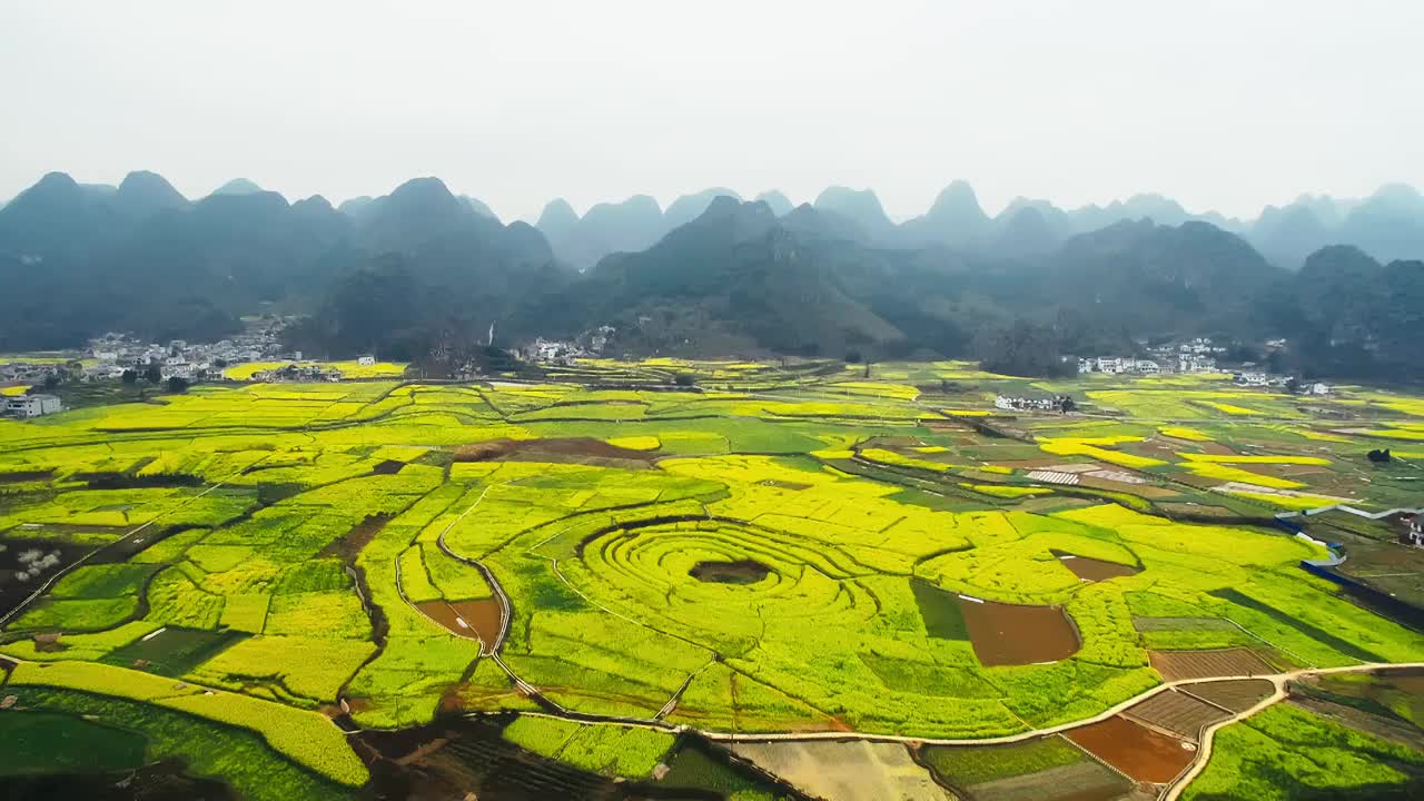 春季航拍贵州黔西南兴义万峰林与八卦田油菜花海视频素材