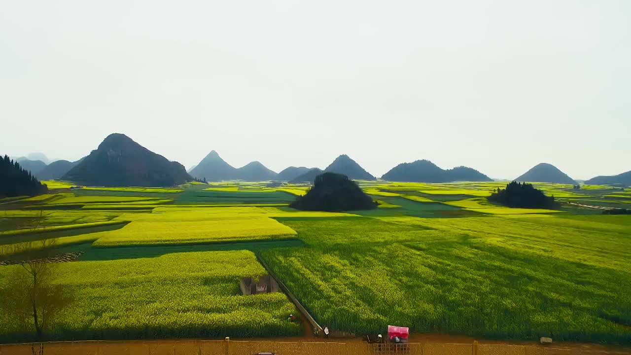 航拍春季云南曲靖罗平金鸡峰丛油菜花海视频素材