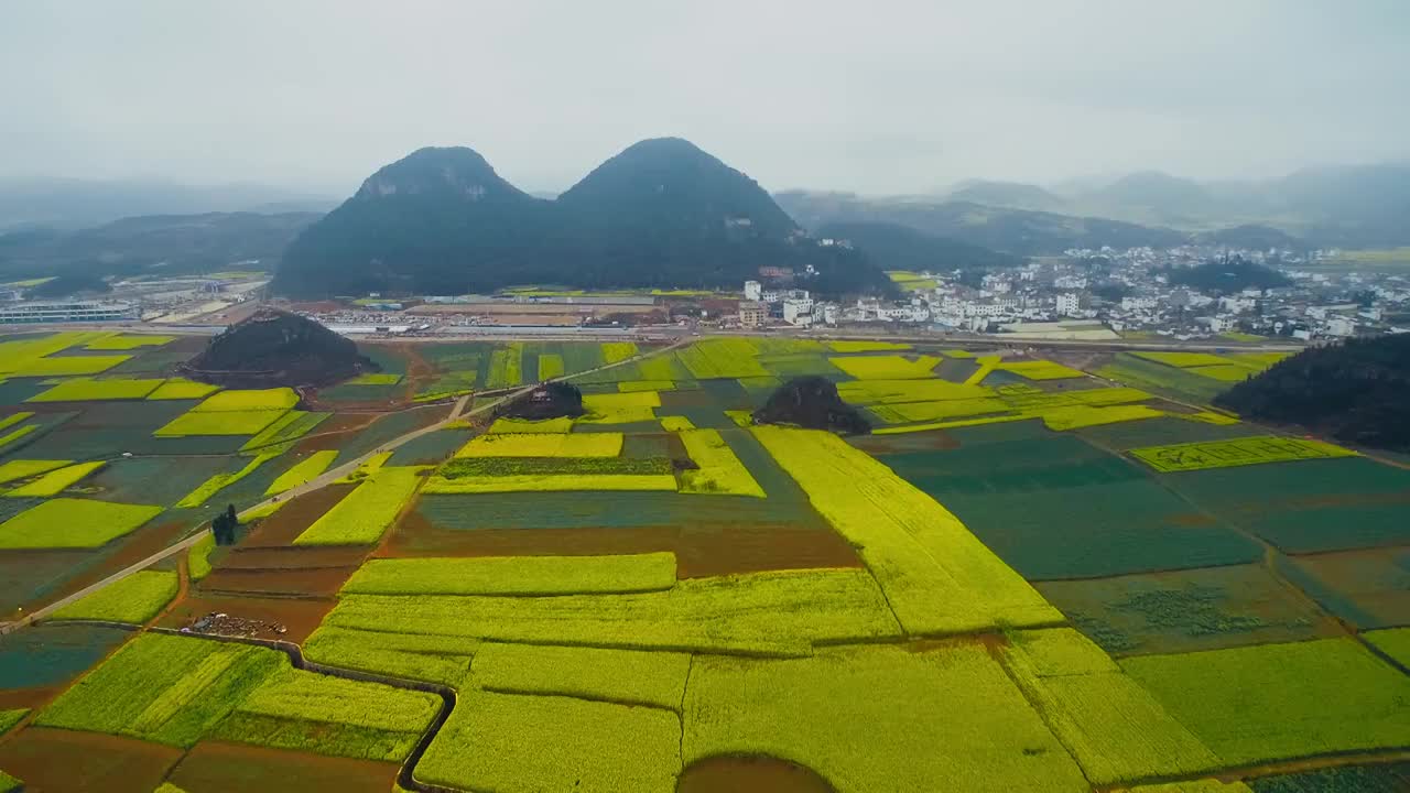 航拍春季云南曲靖罗平金鸡峰丛油菜花海视频素材