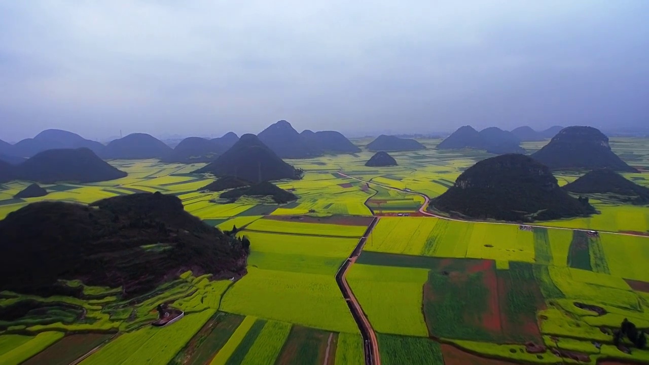 航拍春季云南曲靖罗平金鸡峰丛油菜花海视频素材