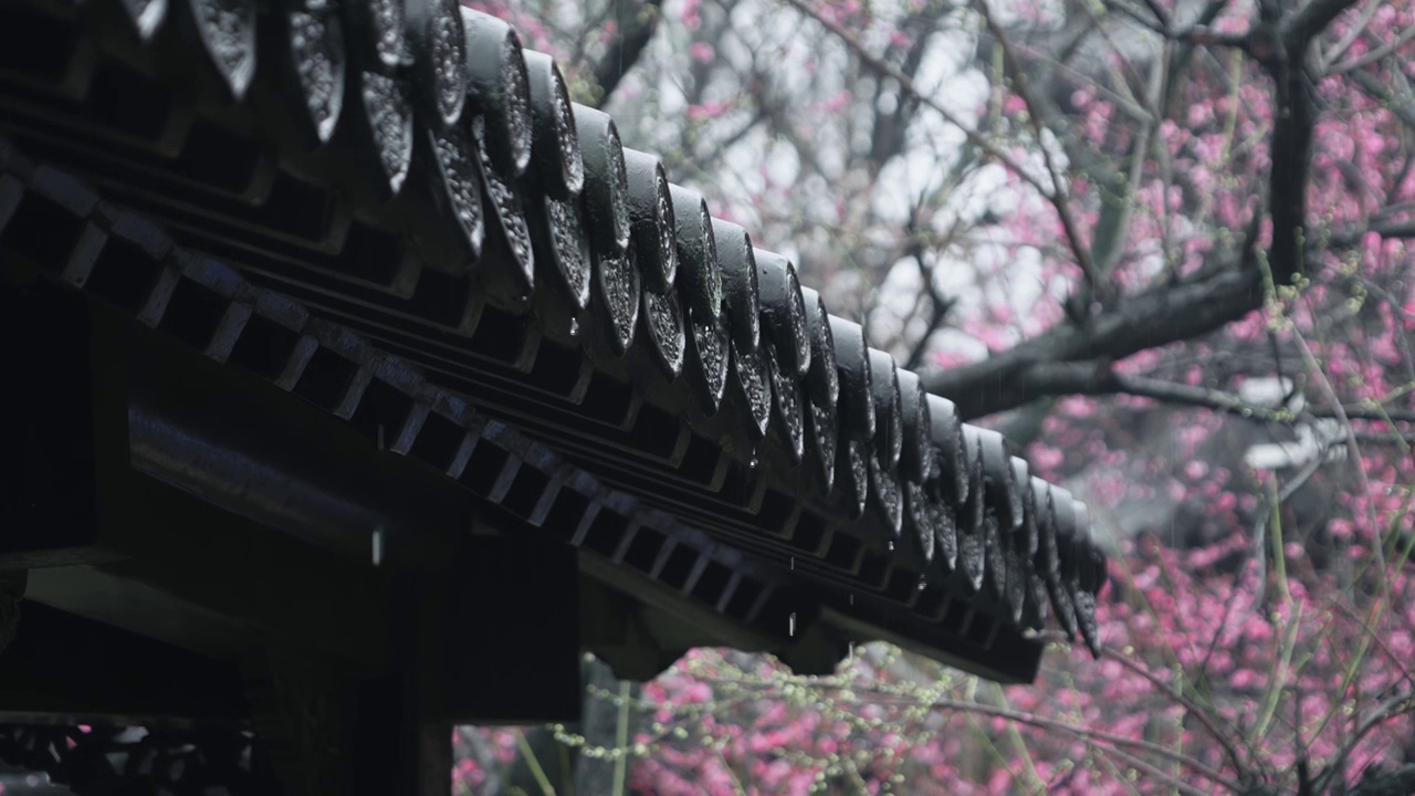 雨水顺着屋檐滴落视频素材