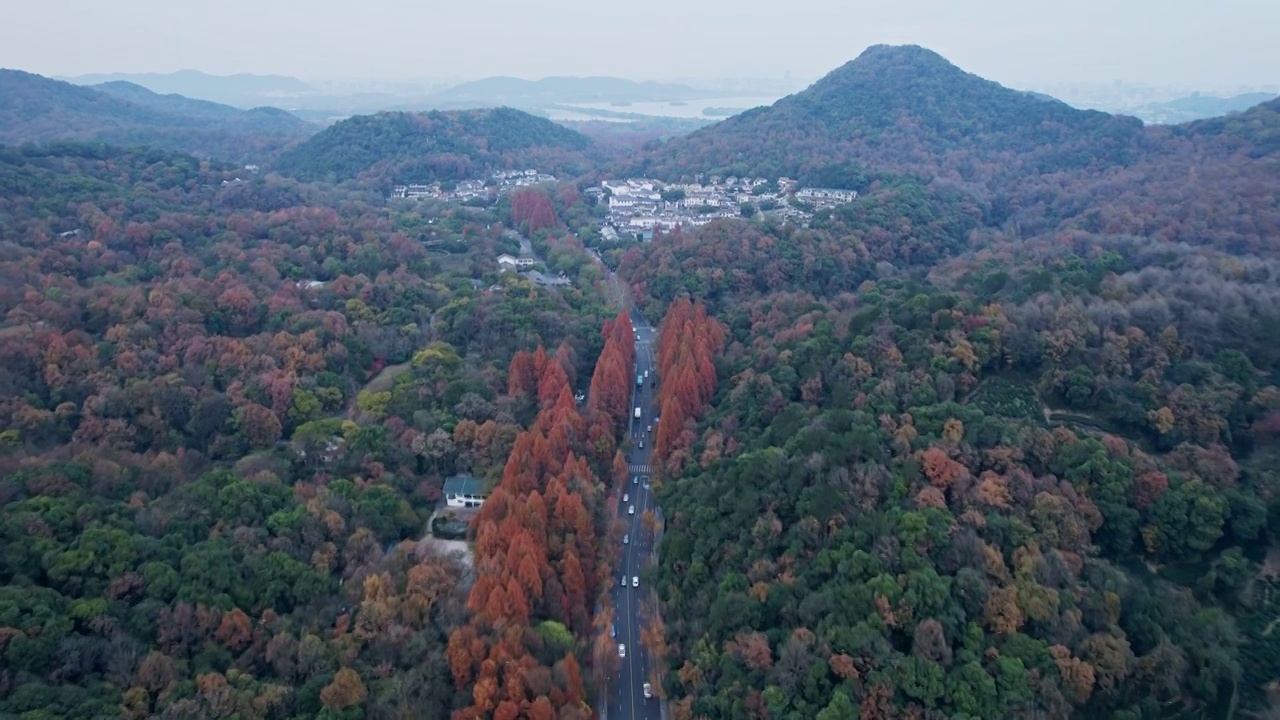 杭州虎跑路秋景视频素材