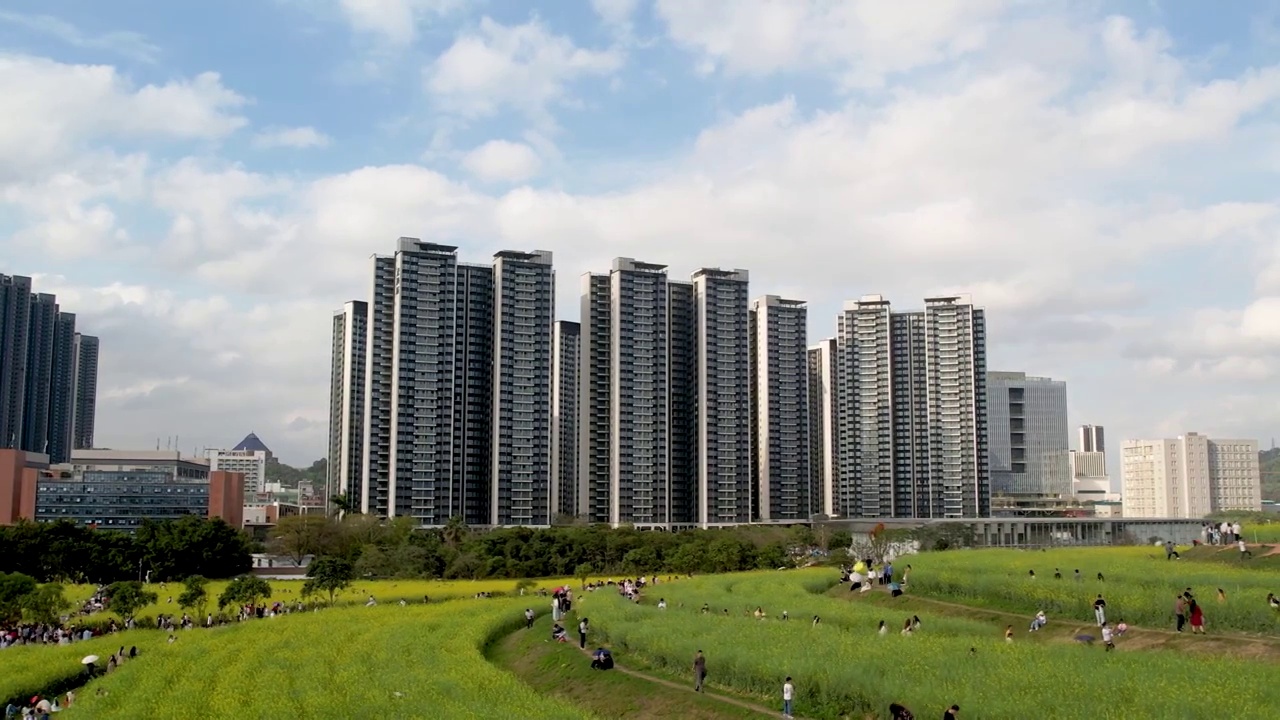 春天油菜花开乡村振兴视频素材