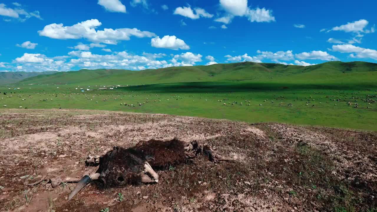 甘南桑科草原蓝天白云风光延时视频下载