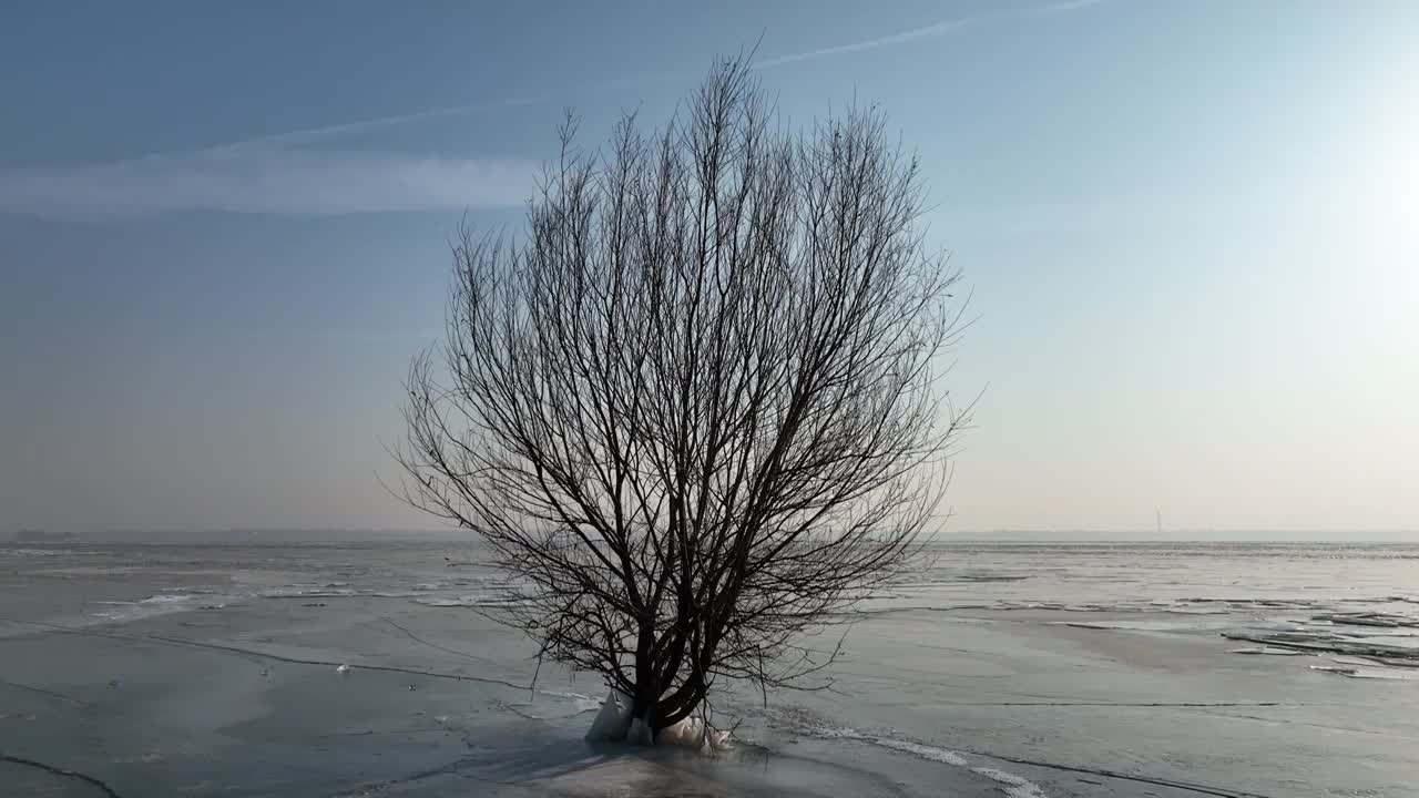 长治市漳泽湖湿地，冰雪，航拍。视频素材