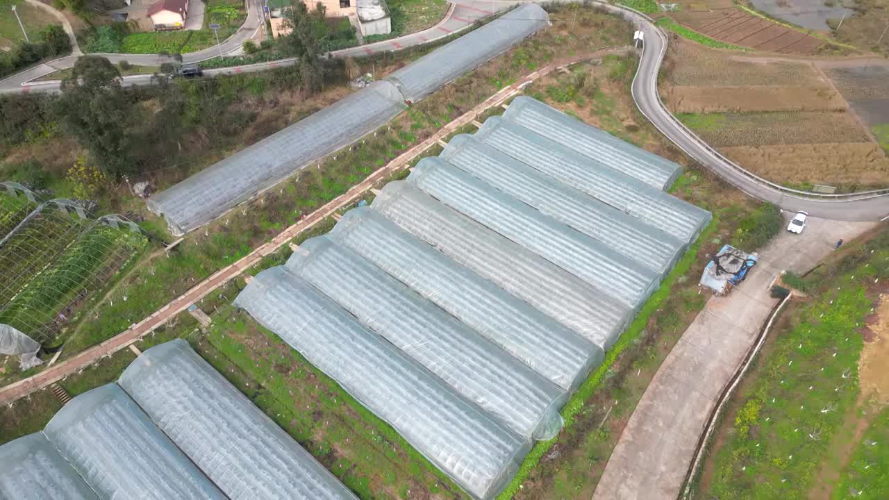 航拍重庆：重庆沙坪坝三河村村庄与草莓温室大棚种植视频素材