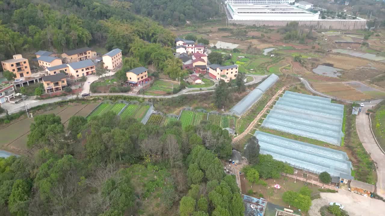 航拍重庆：重庆沙坪坝三河村村庄与草莓温室大棚种植视频素材