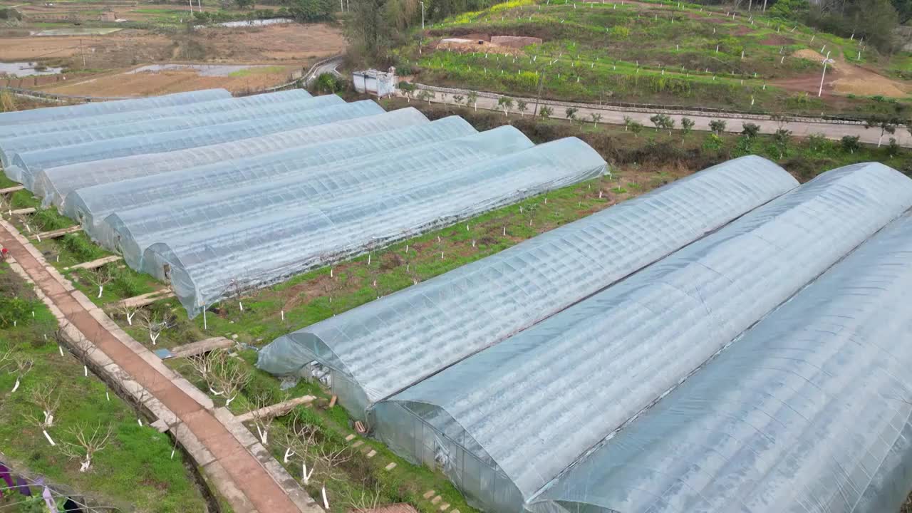 航拍重庆：重庆沙坪坝三河村村庄与草莓温室大棚种植视频素材