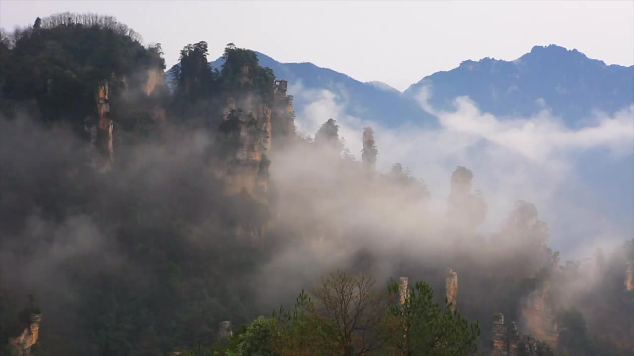 天子山云雾视频素材