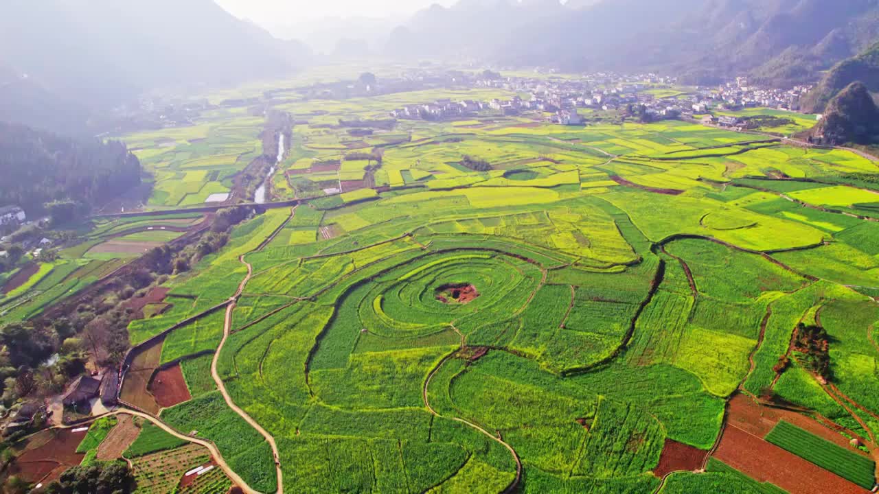 万峰林油菜花八卦花海视频素材