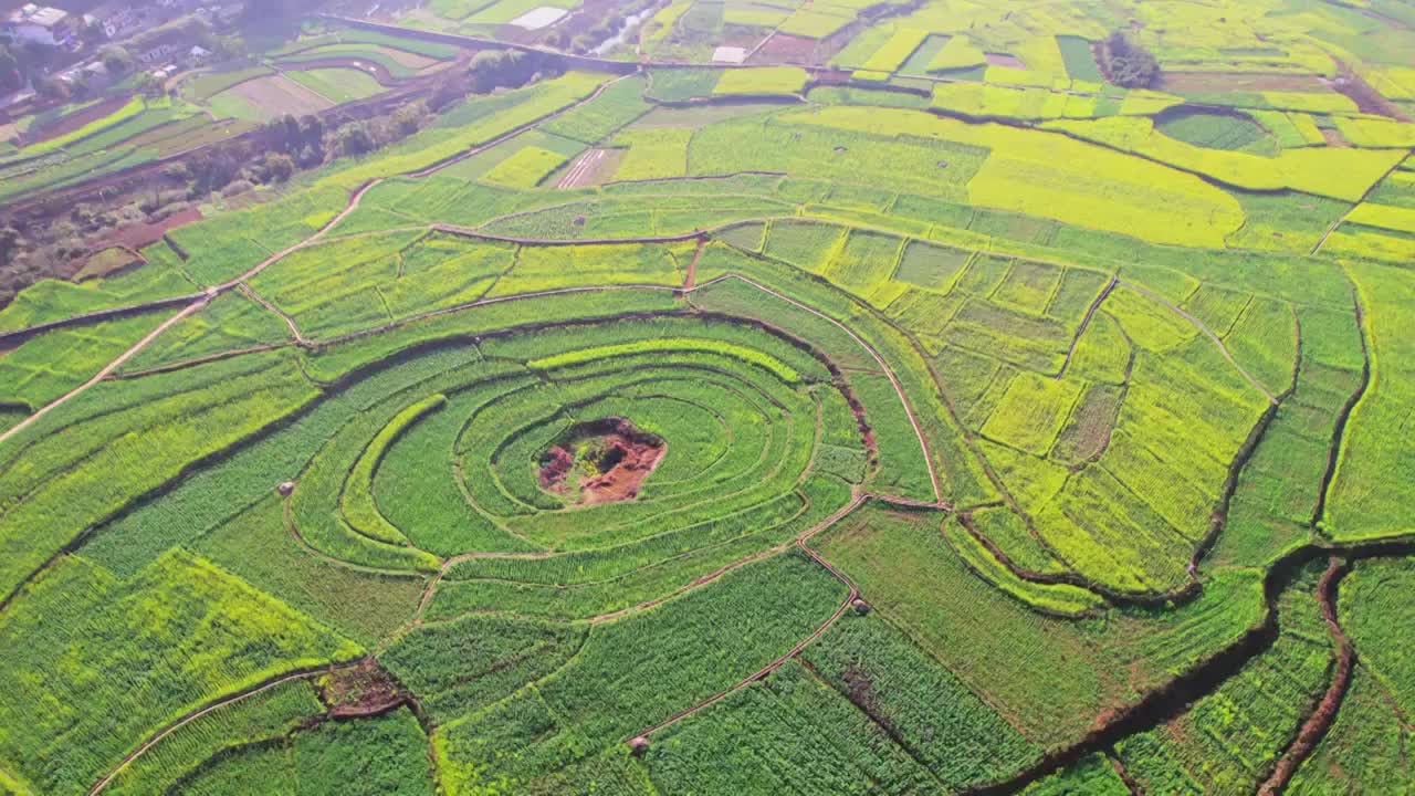 万峰林油菜花八卦花海视频素材