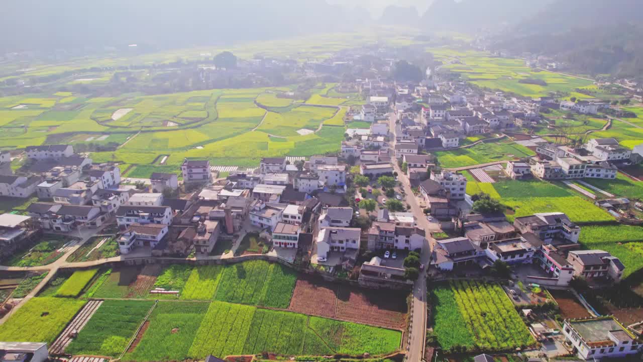 万峰林油菜花视频素材