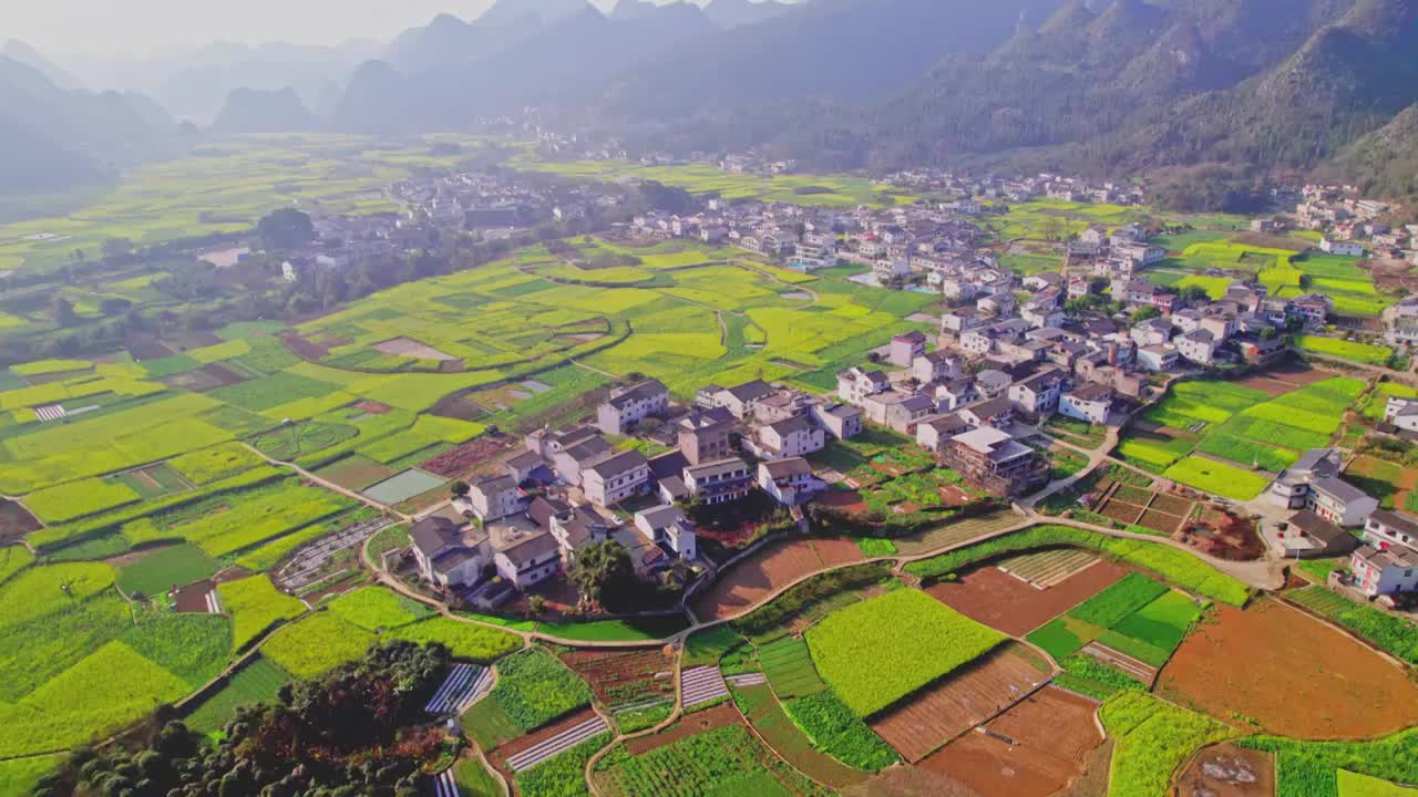 万峰林油菜花视频素材