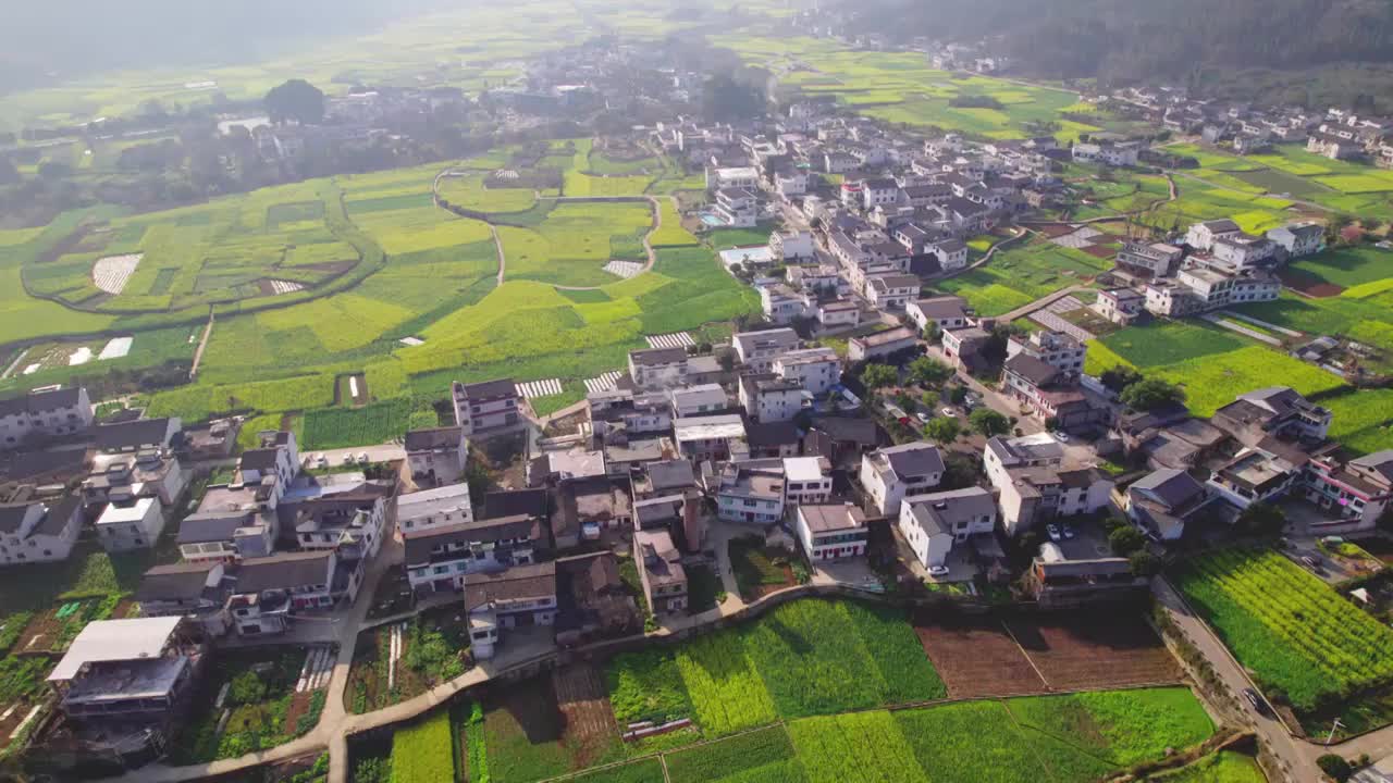 万峰林油菜花视频素材