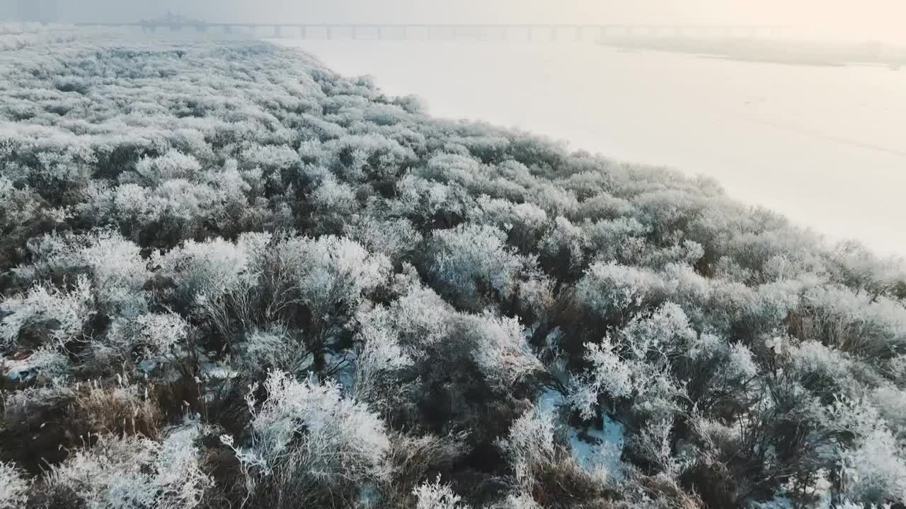 4K，60帧，哈尔滨，冬季，雾凇，城市，公路，松花江，树视频素材