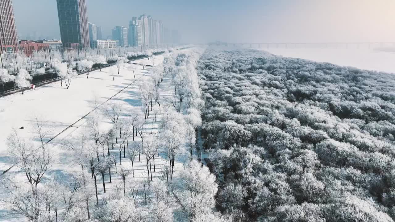 4K，60帧，哈尔滨，冬季，雾凇，城市，公路，松花江，树视频素材