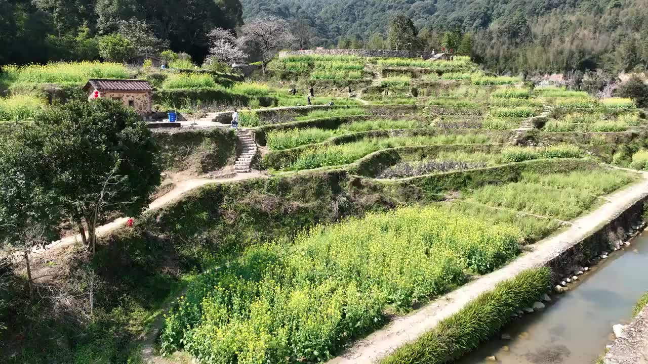 航拍广州从化阿婆六荼花谷视频素材