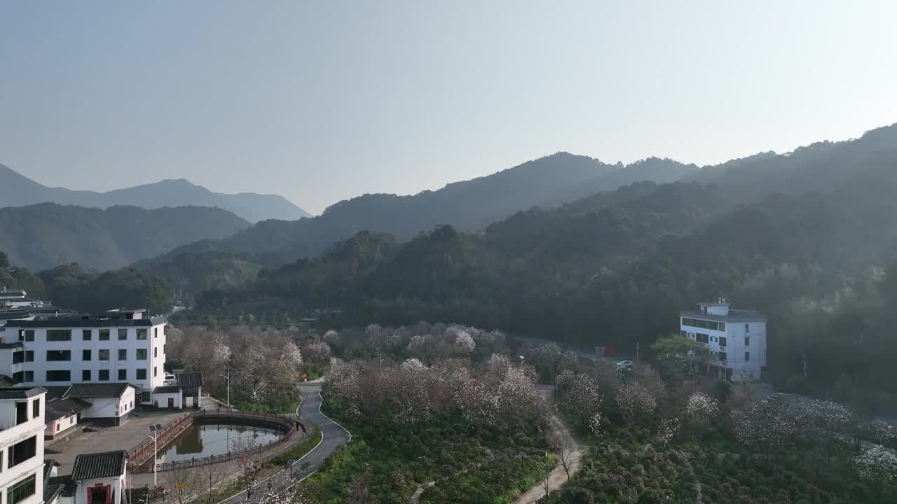 航拍广州从化阿婆六荼花谷视频素材