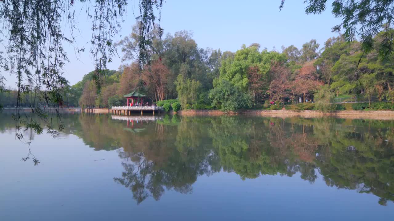 广州天河公园城市湖泊树林自然风光视频素材