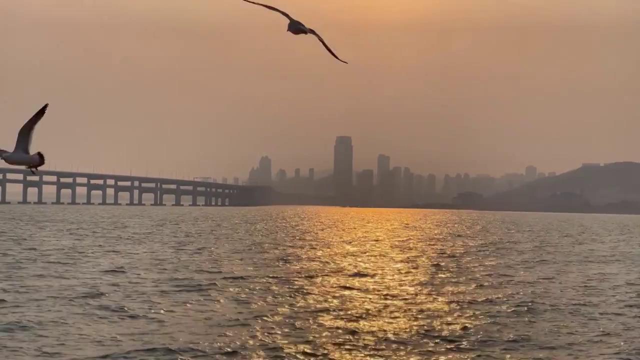 夕阳余晖与海面上飞翔的海鸥视频素材