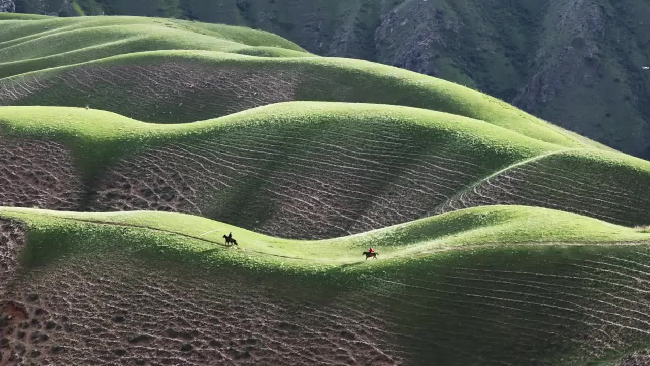 新疆喀拉峻人体草原视频素材