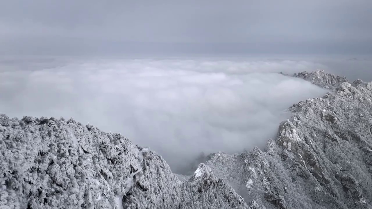 河南洛阳老君山雪后大气云海航拍景观视频素材