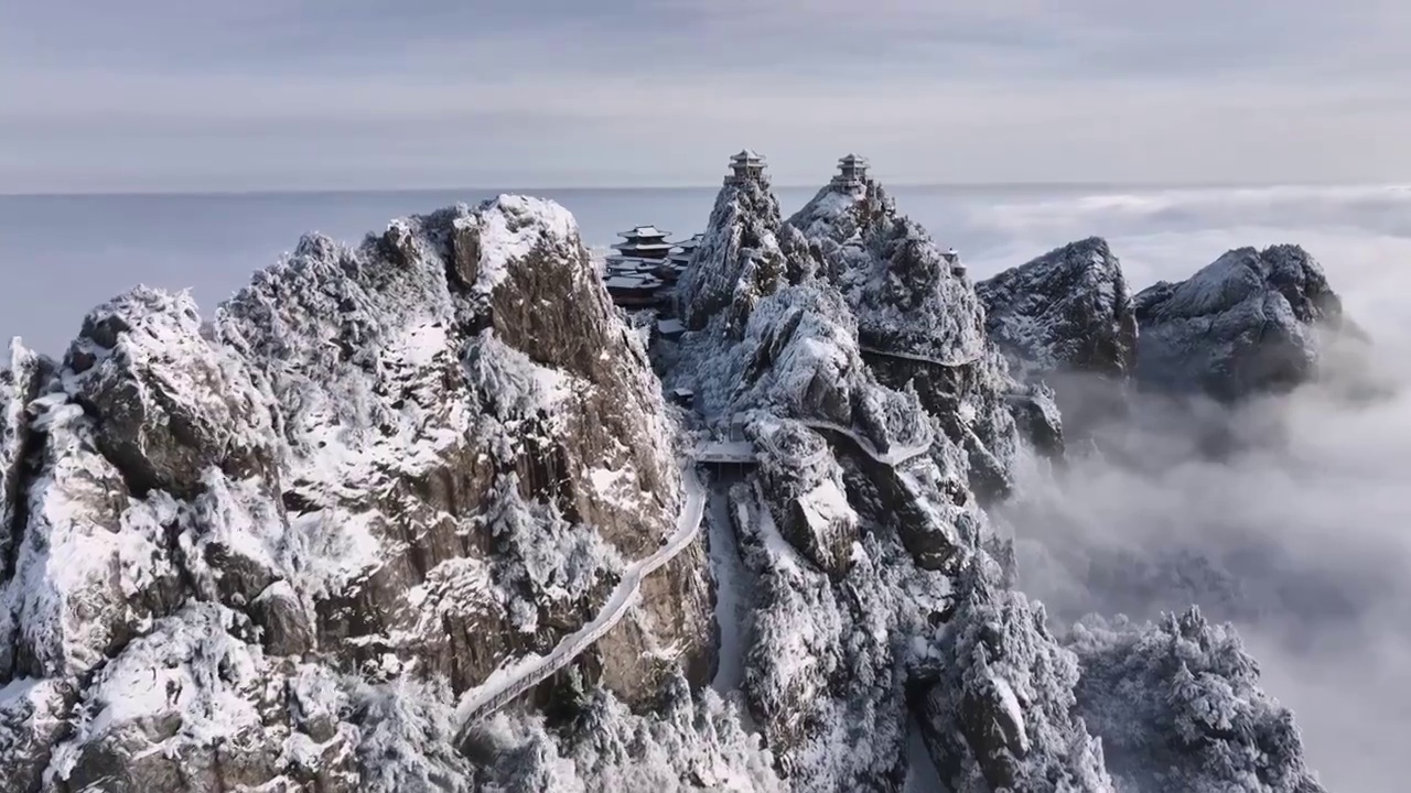 河南洛阳老君山雪后大气云海航拍景观金顶建筑群民宿视频素材