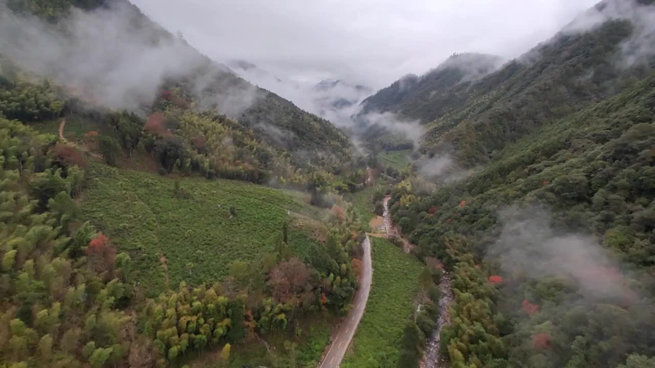 武夷山自然保护区黄岗大峡谷云雾与森林视频素材