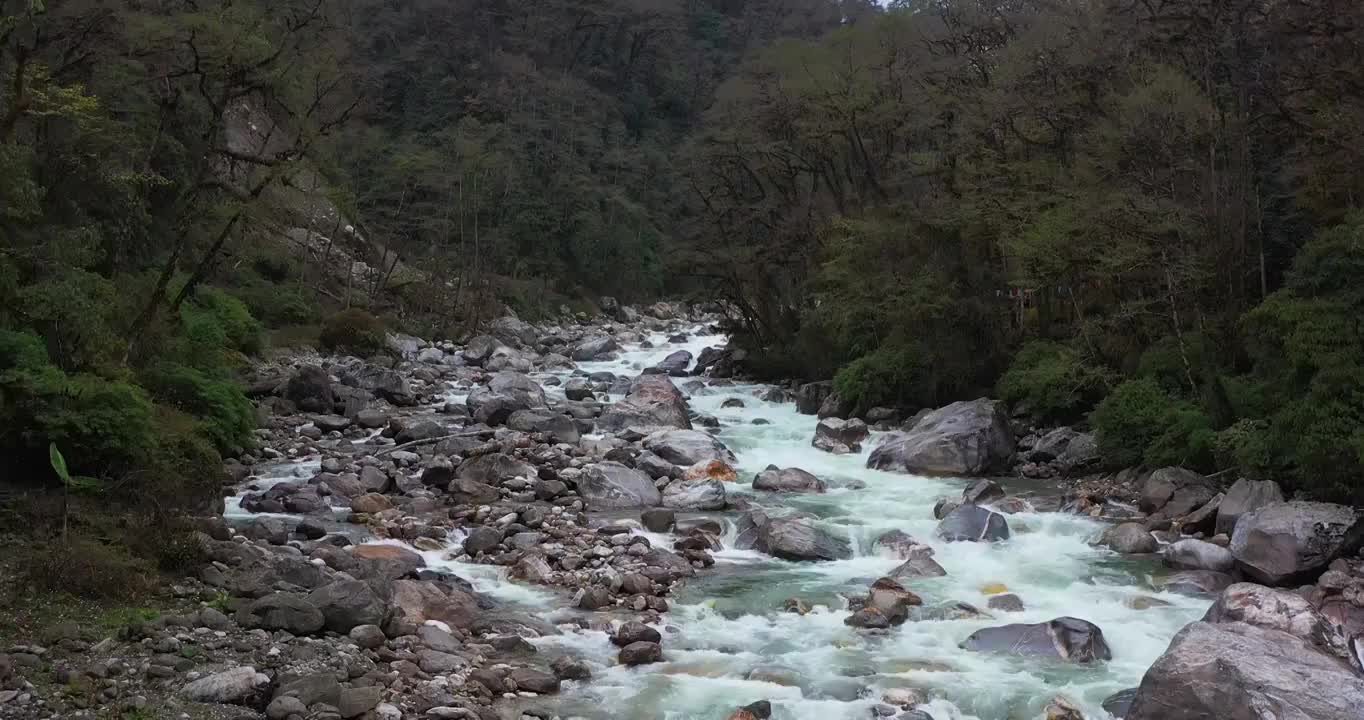 西藏林芝：墨脱三月风光视频素材