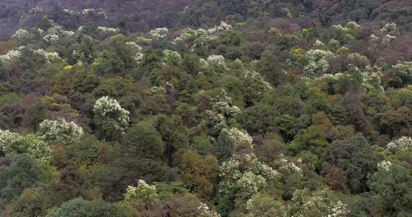 西藏林芝：墨脱三月风光视频素材