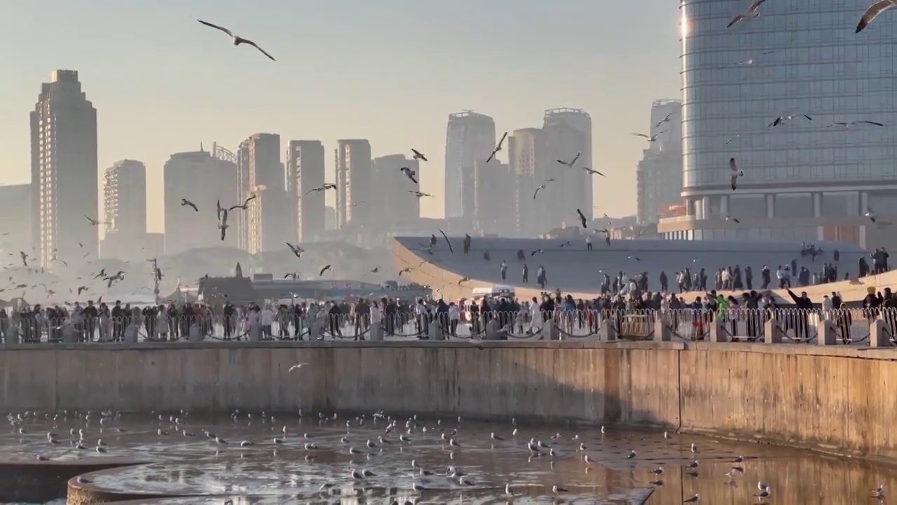 大连星海广场的景色视频下载