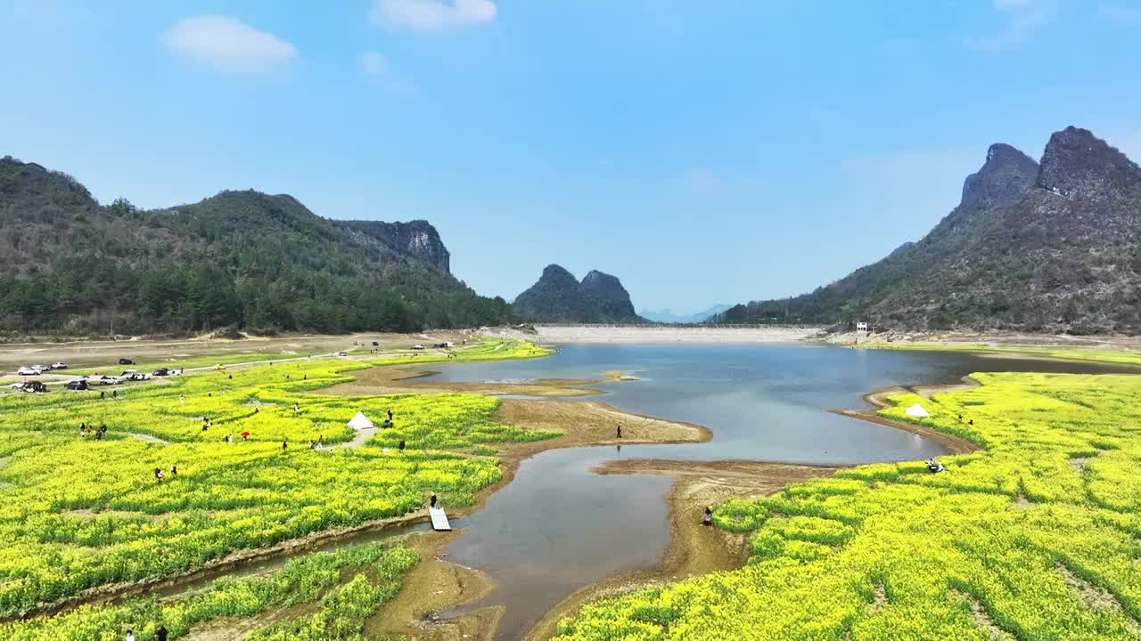 春天阳光下山谷中的湖和岸边盛开的油菜花视频素材