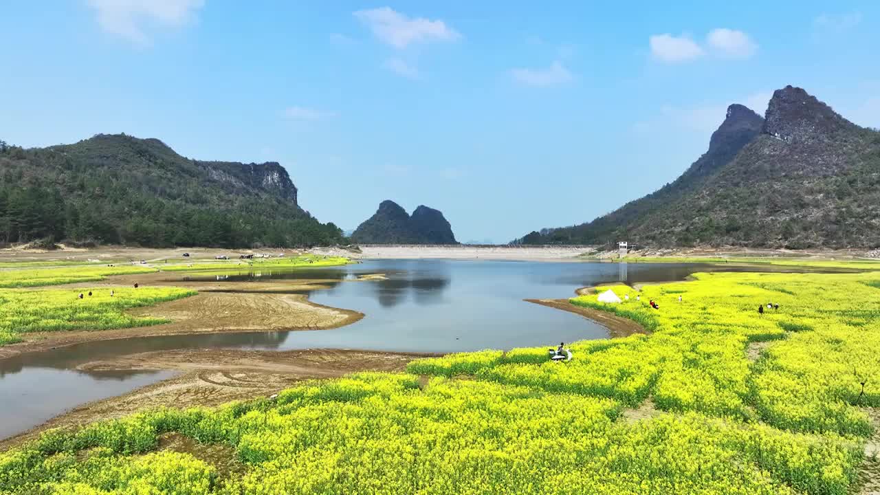 春天阳光下山谷中的湖和岸边盛开的油菜花视频素材