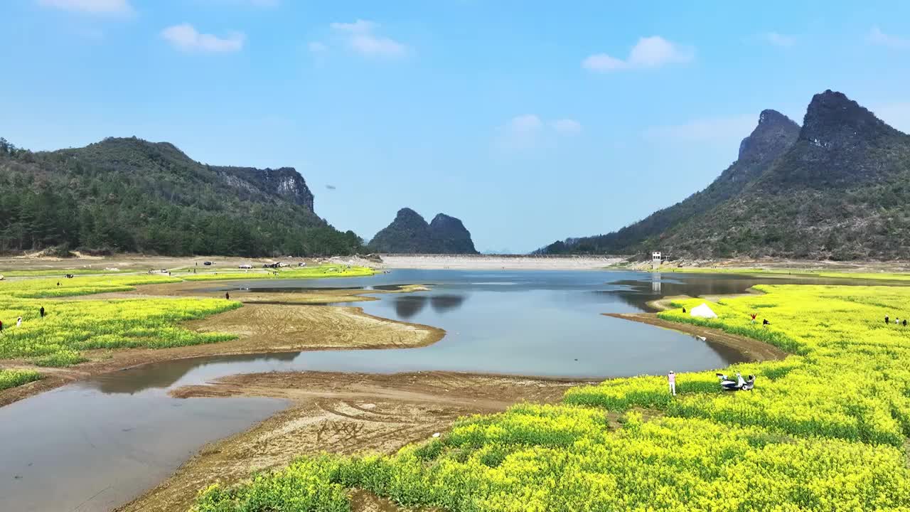 春天阳光下山谷中的湖和岸边盛开的油菜花视频素材