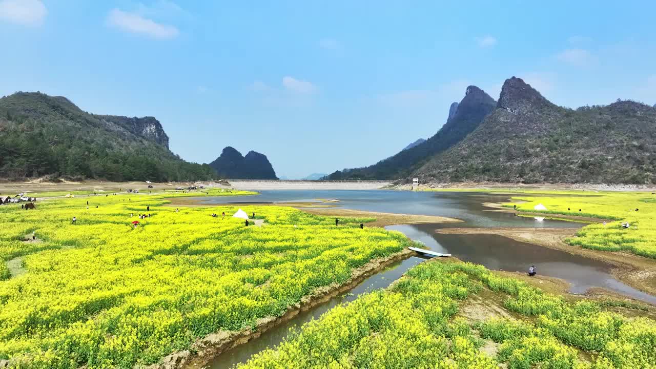 春天阳光下山谷中的湖和岸边盛开的油菜花视频下载