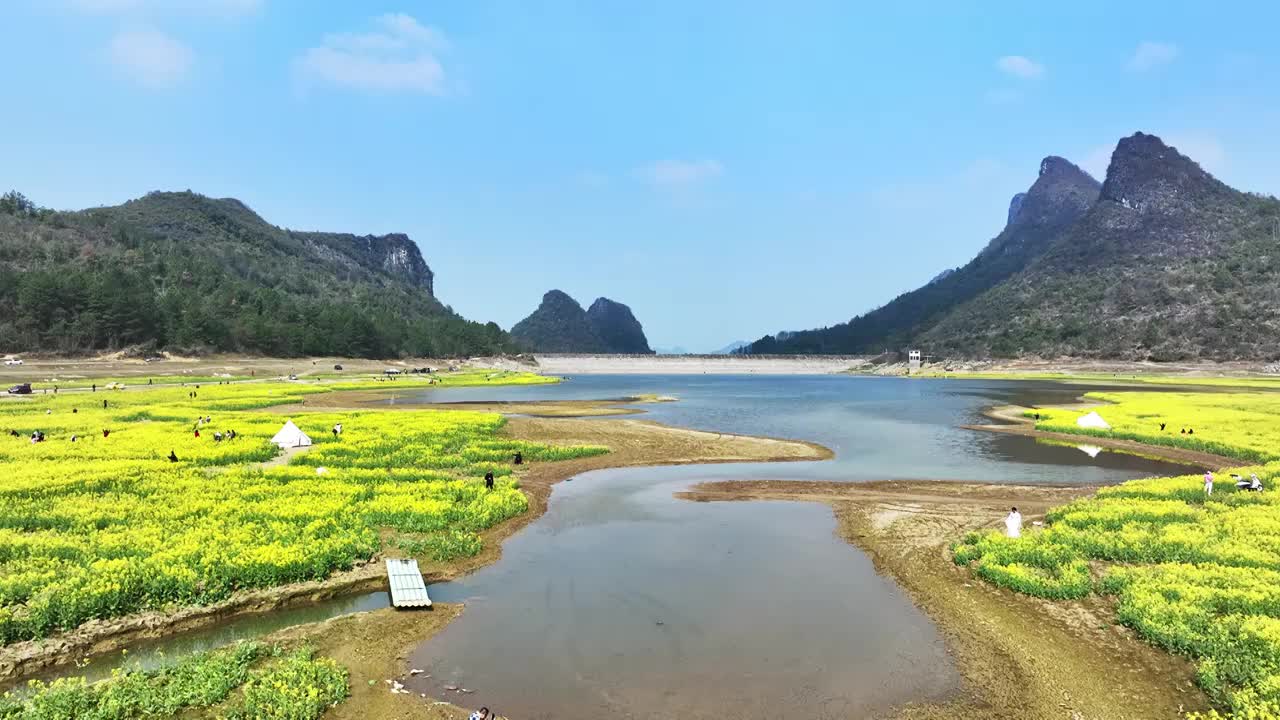 春天阳光下山谷中的湖和岸边盛开的油菜花视频素材