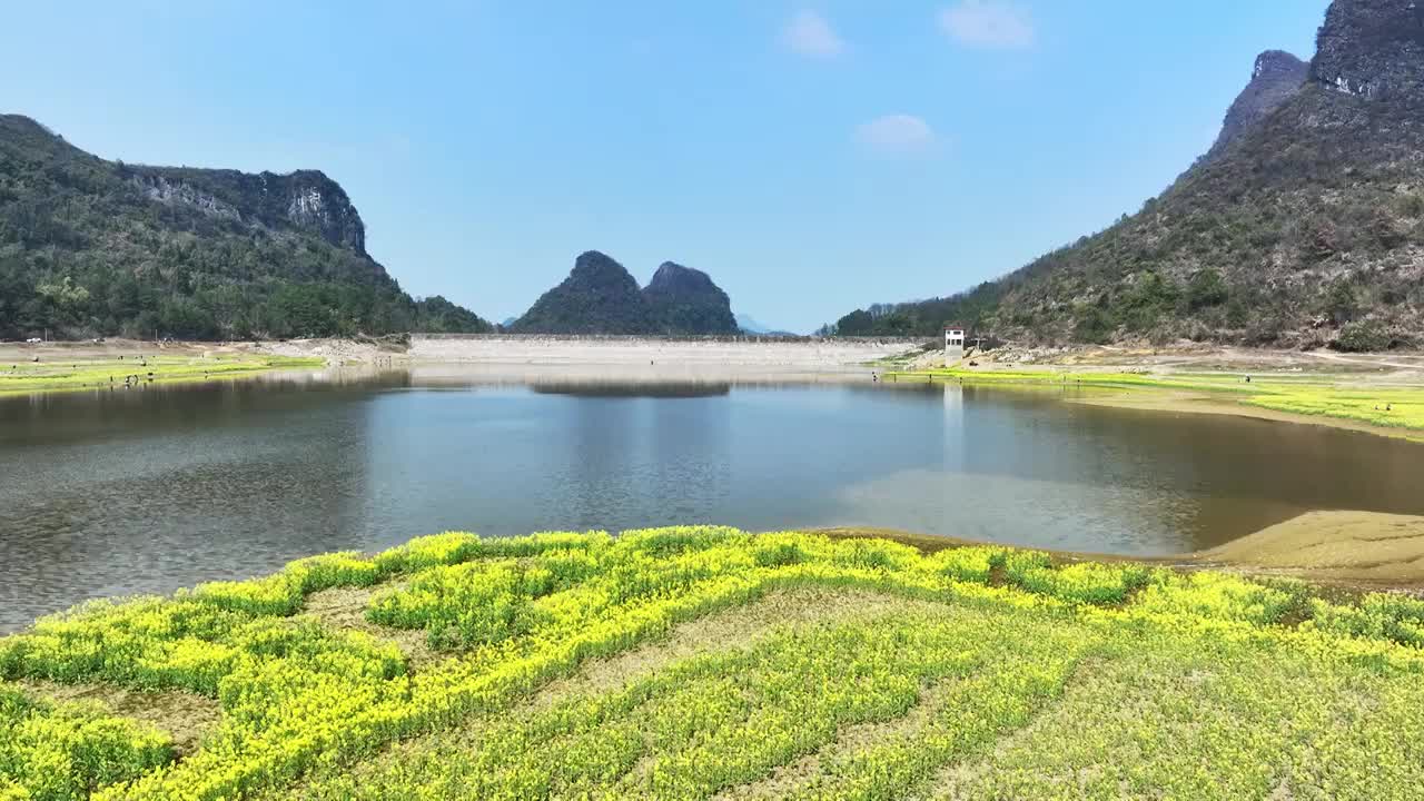 春天阳光下山谷中的湖和岸边盛开的油菜花视频素材