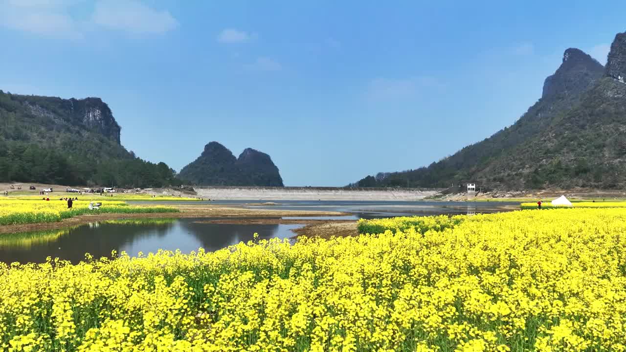 春天阳光下山谷中的湖和岸边盛开的油菜花视频素材