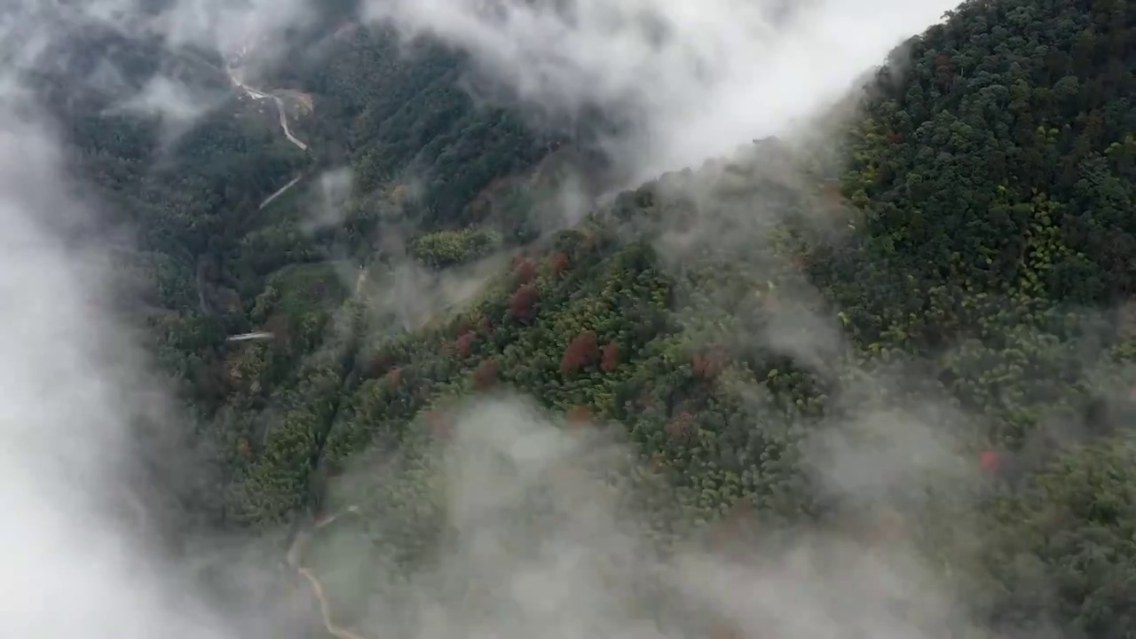 航拍延时武夷山国家公园先锋岭森林景观-云雾蒸腾的山谷视频素材