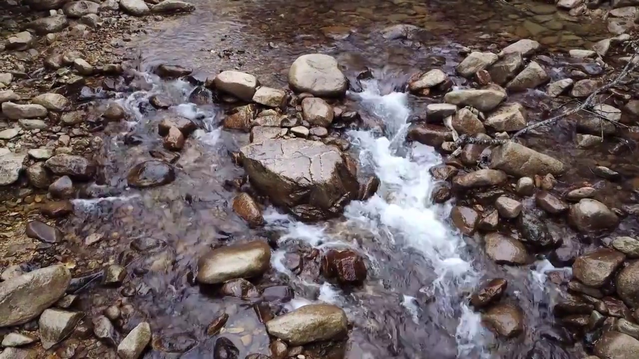 清澈的小溪与湿润的岩石-武夷山自然保护区桐木溪视频素材