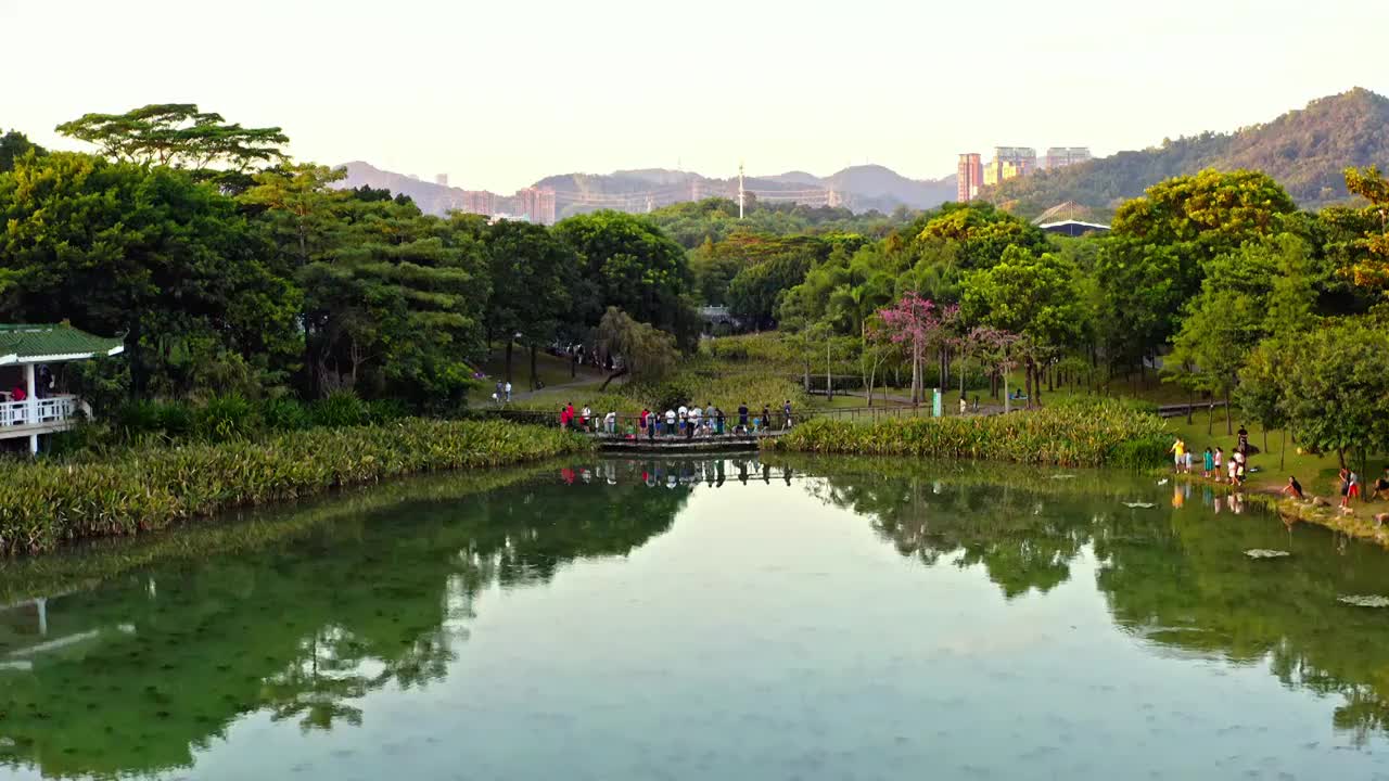 深圳光明航拍视频素材