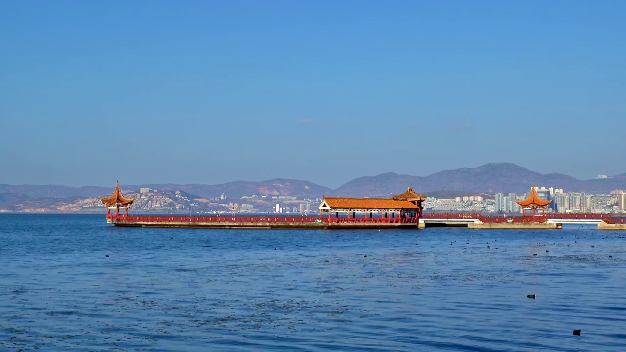 大理洱海海心亭和海鸥白昼晴天实时视频素材