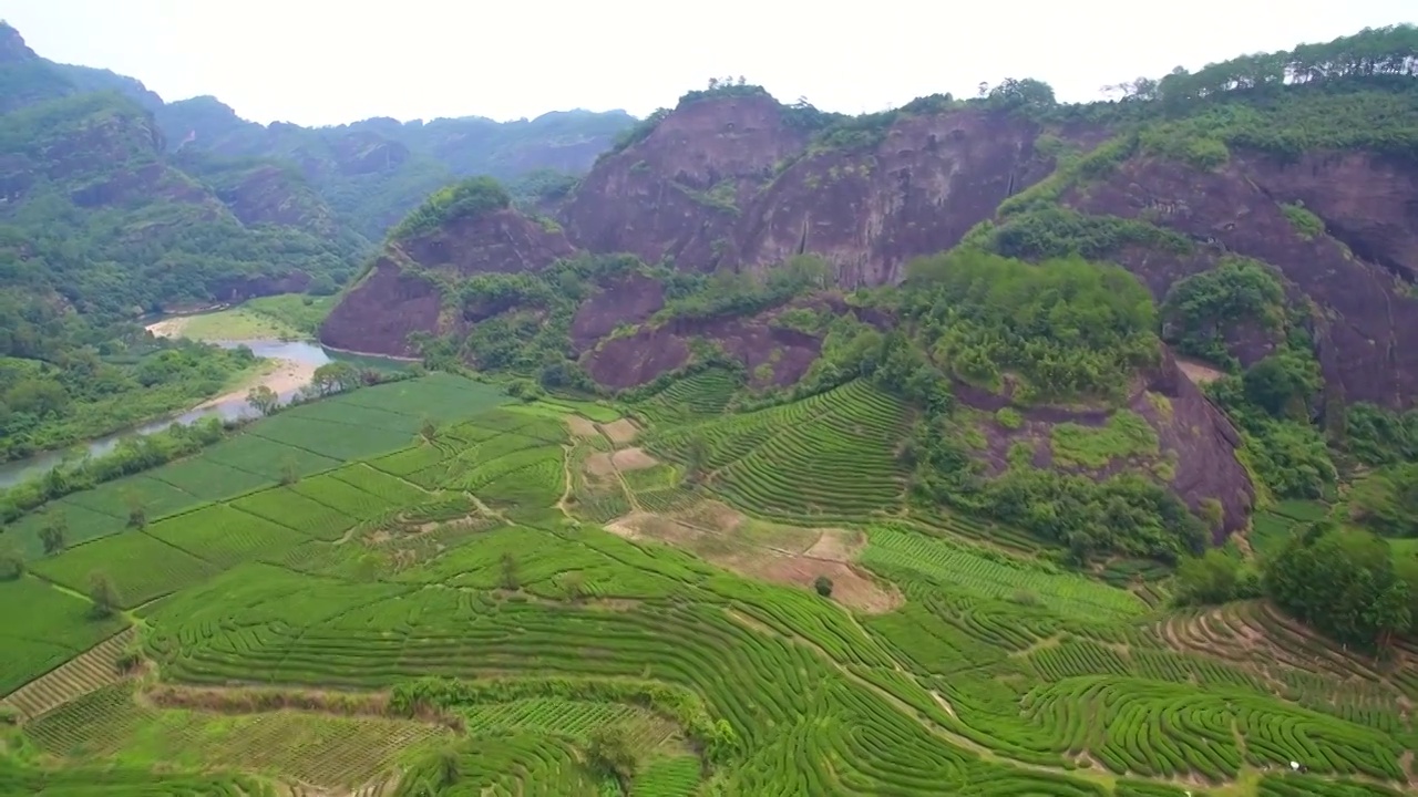 航拍春天的武夷岩茶茶园梯田丹霞地貌与九曲溪视频素材