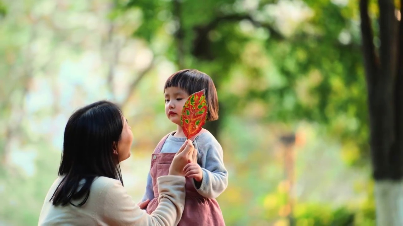 秋天公园小女孩拿树叶跑向妈妈亲子陪伴成长视频下载