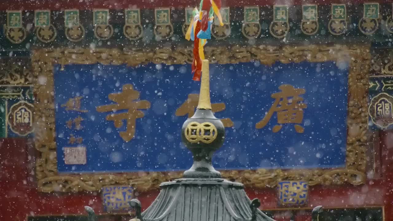 合集_西安广仁寺雪景4k慢动作（合集）（合集）视频素材