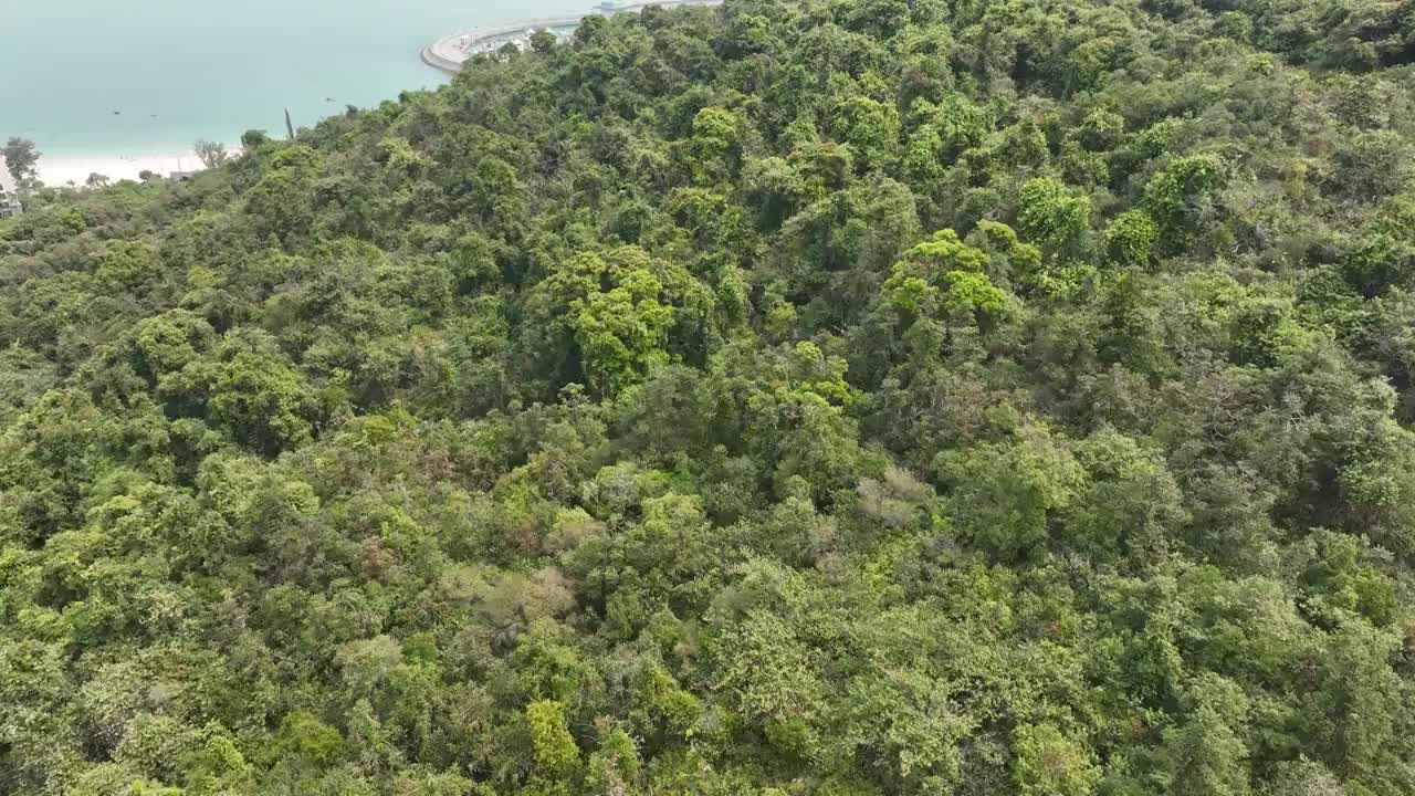 赤湾港妈湾港航拍视频素材