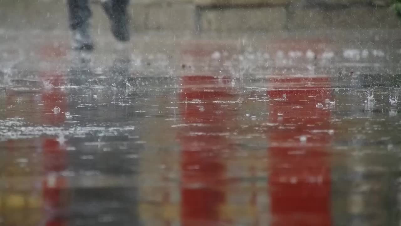 合集_雨景4k慢动作视频素材